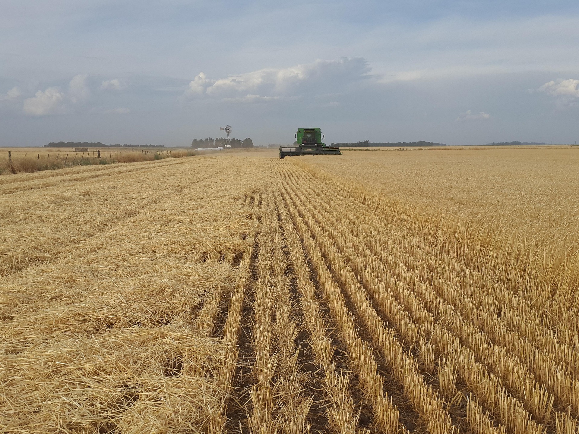 MP 1.376/2026 e o Endividamento Rural: Como Renegociar suas Dívidas Após Sucessivas Frustrações de Safra